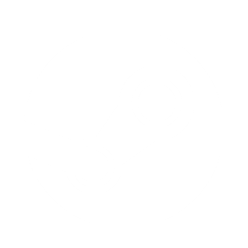 Steam